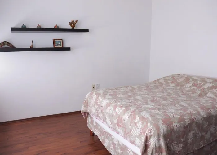 Apartamento And Large In Polanco