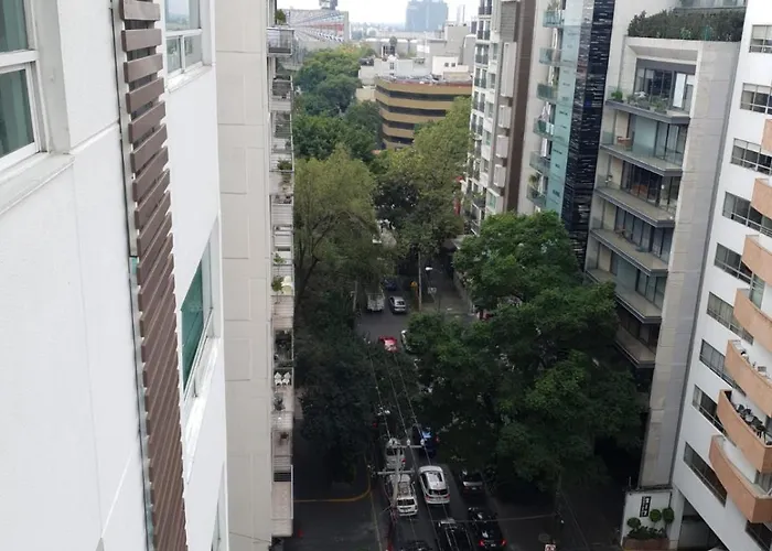 And Large In Polanco *